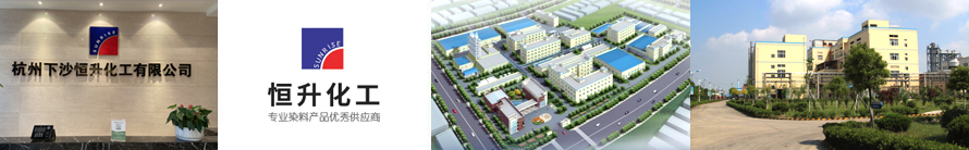 杭州下沙美狮贵宾会·(中国区)官方网站化工有限公司